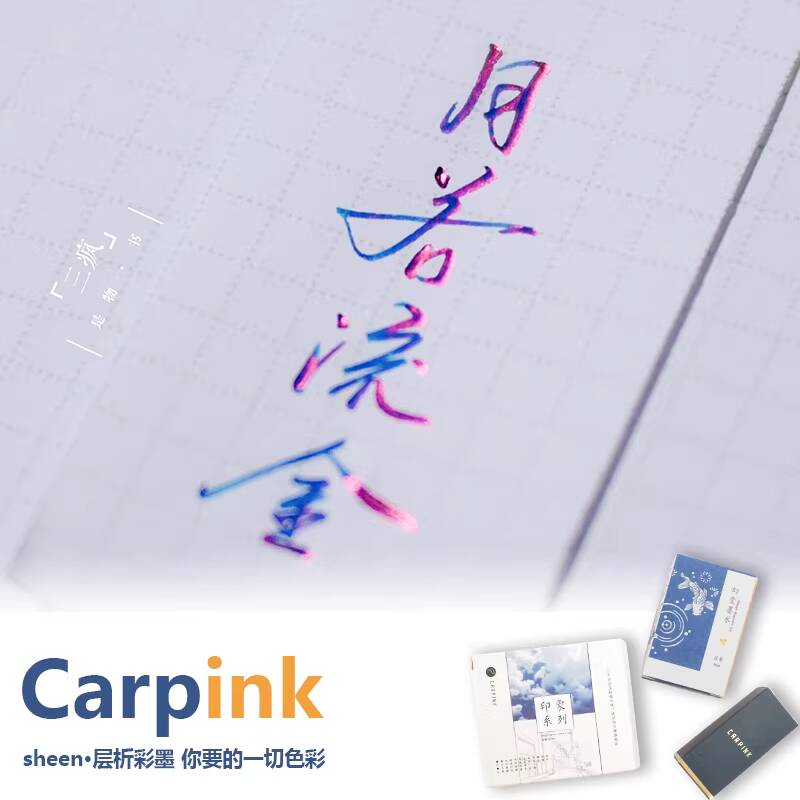 Carpink – stylo à plume sans c - Fountain Pen Bottled Ink avis et prix